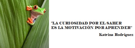 curiosidad rana