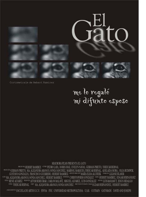 AFICHE EL GATO